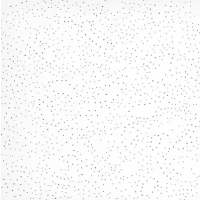 Купить Плита потолочная АМФ «Терматекс Стар-VT24»  600х600х15 оптом в Москве от производителя