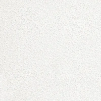 Купить Плита потолочная АМФ Антарис-SK 600x600x13 мм оптом в Москве от производителя