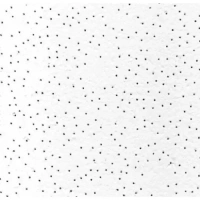 Купить Плита потолочная АМФ  ФИЛИГРАН  600х600х13 оптом в Москве от производителя