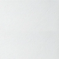 Купить Плита потолочная Armstrong Bioguard Plain Board (БИОГАРД)  600x600х15 оптом в Москве от производителя