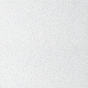 Купить Плита потолочная Armstrong Plain Board (Плэйн)  600х600х15 мм оптом в Москве от производителя