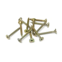 Купить Саморез для Аквапанелей острый Maxi SN 4,2х55мм (250шт ) оптом в Москве от производителя