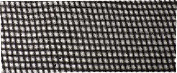 Купить 35483-180 Шлифовальная сетка ЗУБР «МАСТЕР» абразивная, водостойкая № 180, 115х280мм, 5 листов оптом в Москве от производителя