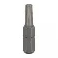 Купить БИБЕР 84940 Биты TORX-40 25мм (100шт) (20) оптом в Москве от производителя
